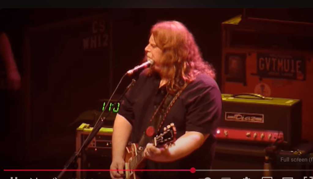 Guitarist Warren Haynes