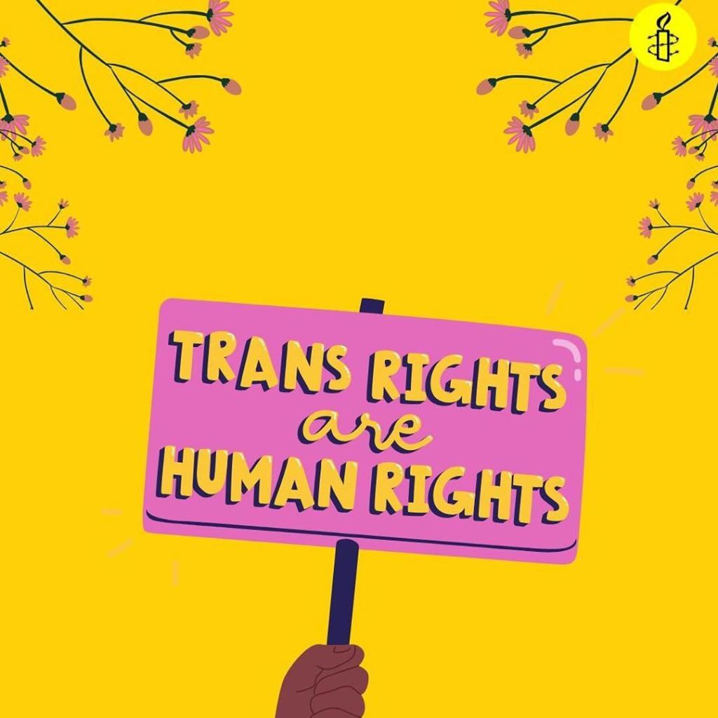 Illustration of a hand holding up a protest sign that reads Trans Rights are Human Rights
